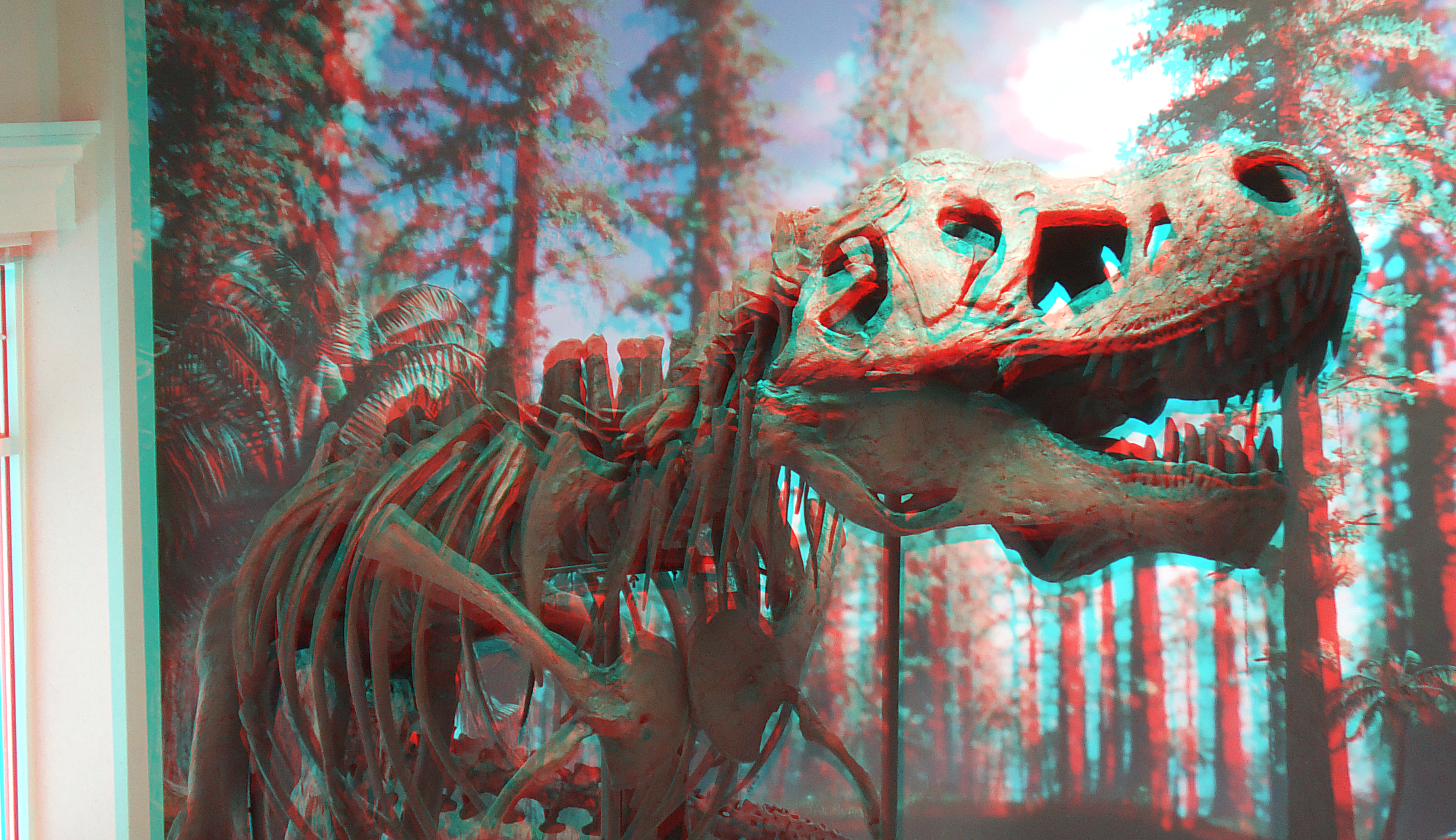 Stereo image final anaglyph